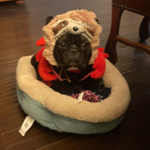 Meet your Posher, Valeria